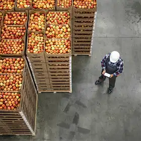 Fotografía de estudiante aplicando sus conocimientos en el sector agroexportador.